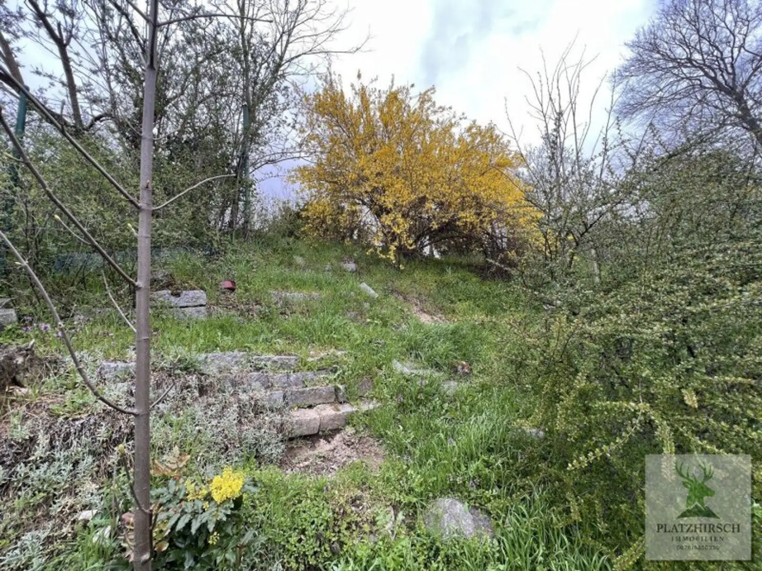 Einzigartiges Liebhaberobjekt mit toskanischem Flair, riesigem Garten, herrlichem Wintergarten, in Prottes - 35 Min von Wien - 8 Minuten von Gänserndorf