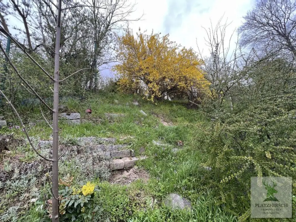 Einzigartiges Liebhaberobjekt mit toskanischem Flair, riesigem Garten, herrlichem Wintergarten, in Prottes - 35 Min von Wien - 8 Minuten von Gänserndorf