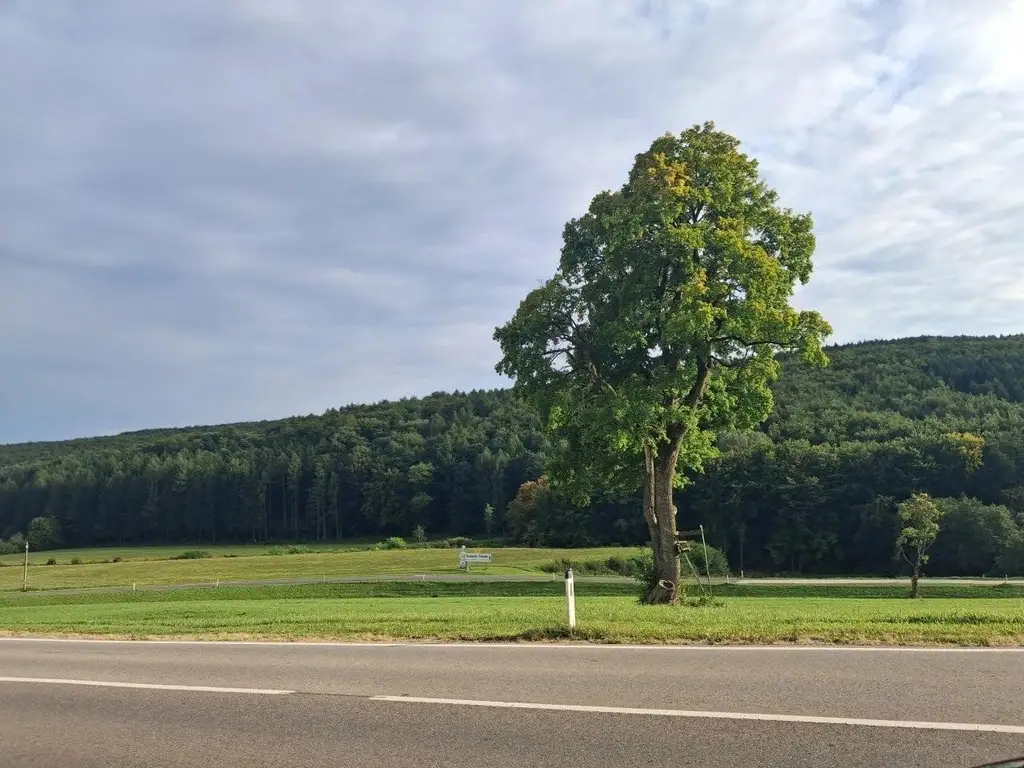 "Waldblick - Single-Balkonwohnung am Riederberg mit Parkplatz"