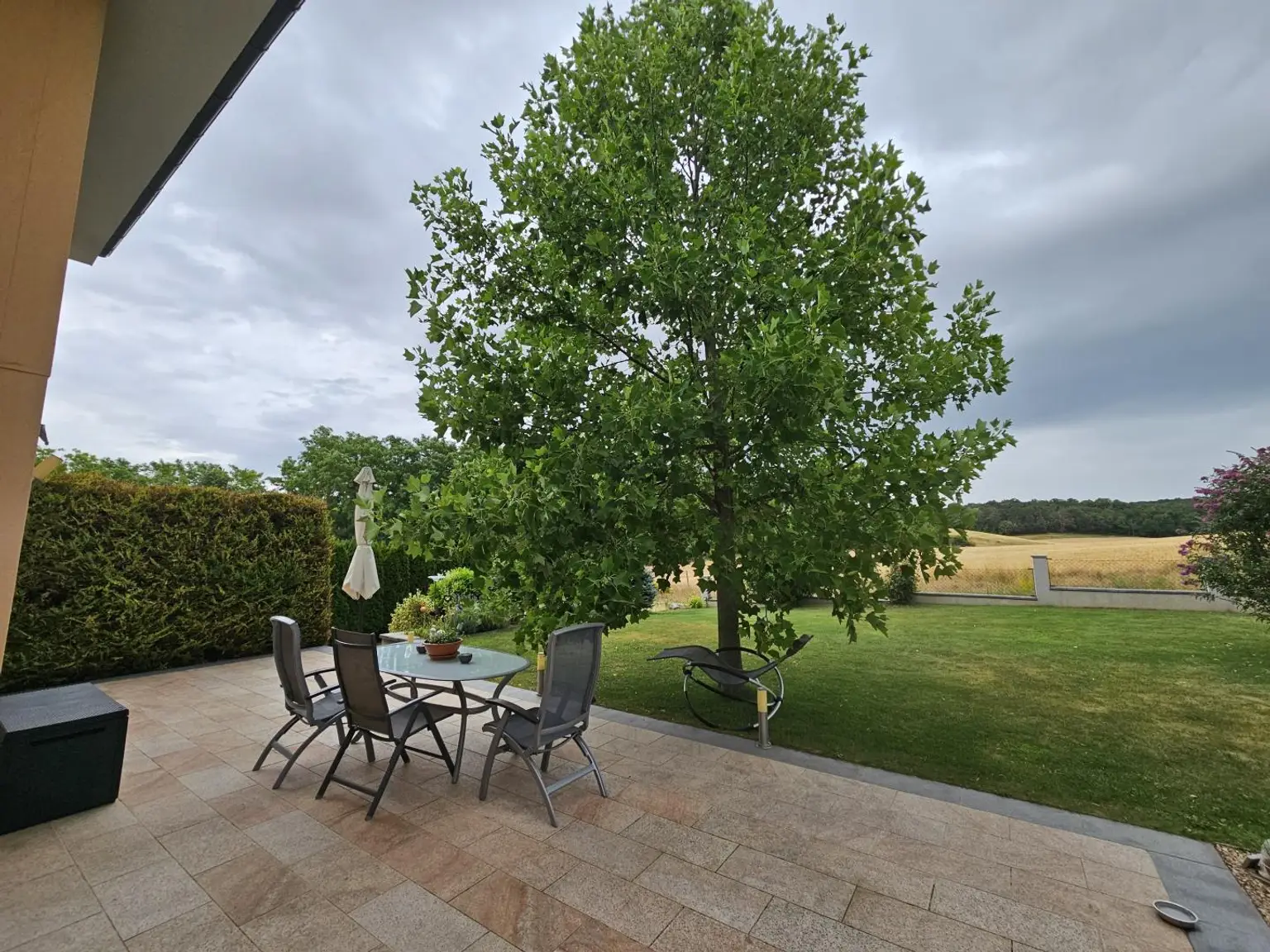 Garten (13)