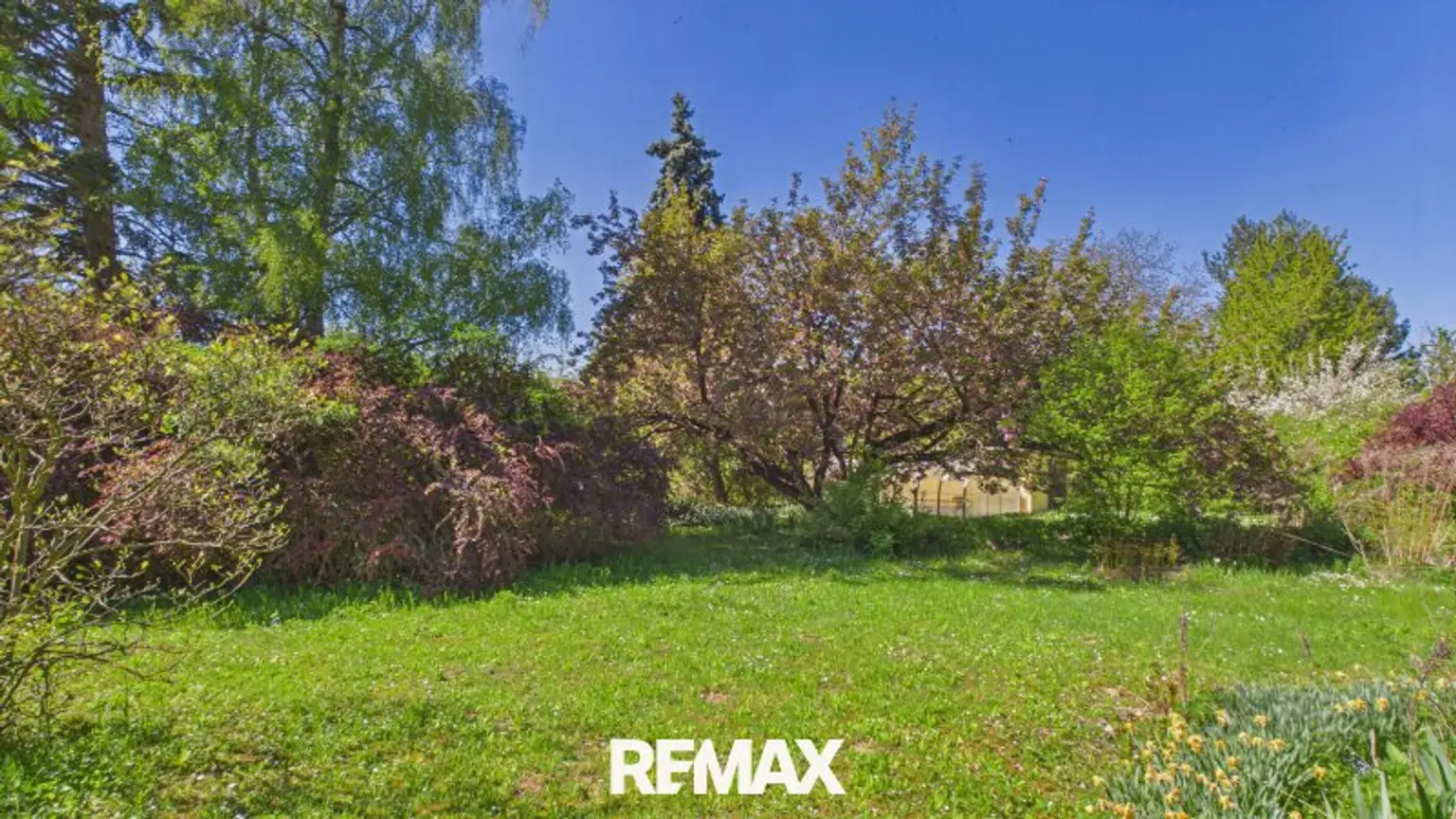 Ein Zuhause mit Seele – außergewöhnlich, charismatisch, einzigartig! 2 Wohneinheiten mit jeweils 3,5 Zimmer