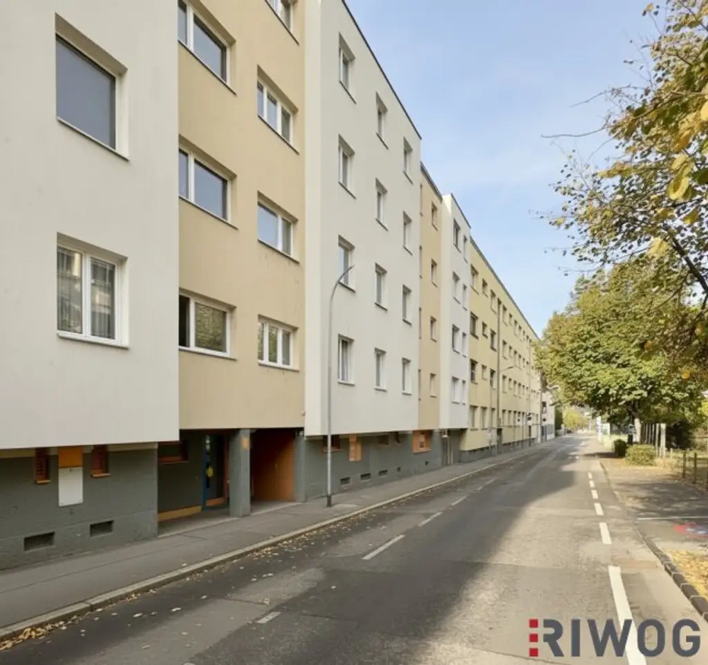 ERSTBEZUG nach Sanierung I 3 Zimmerwohnung im Herzen Klosterneuburgs I Gemeinschaftsgarten I Tischler-Küche mit Siemens Geräten