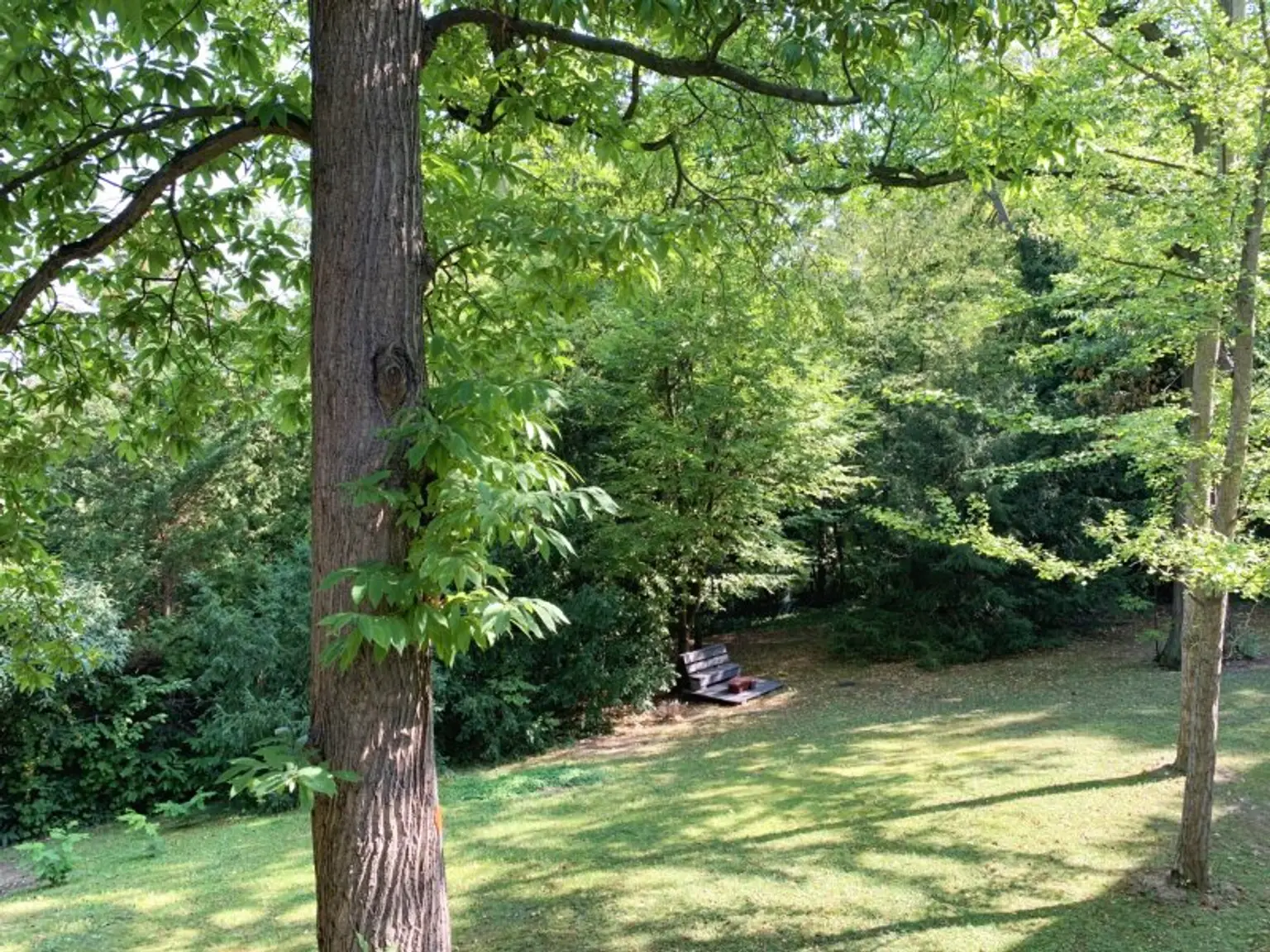 Gemeinschaftsgarten