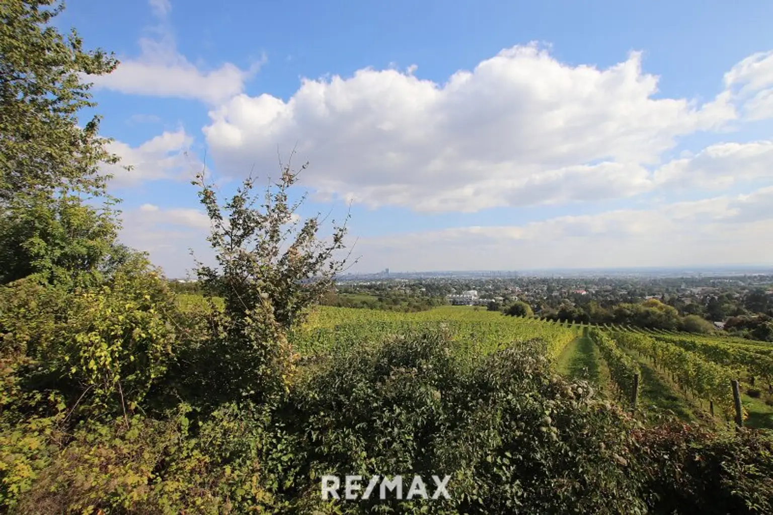 Eigengrund: Grünland mit Gartenhaus - Großes Grundstück in Mauer am Kadoltsberg - direkt am Lainzer Tiergarten