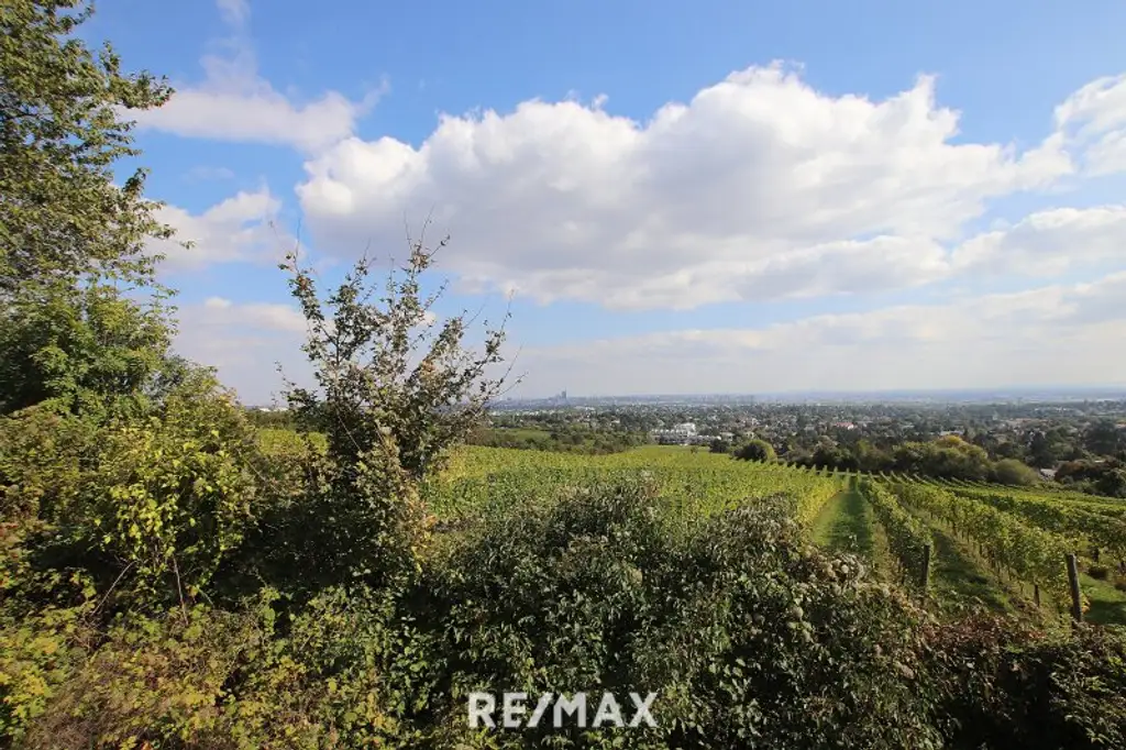 Eigengrund: Grünland mit Gartenhaus - Großes Grundstück in Mauer am Kadoltsberg - direkt am Lainzer Tiergarten