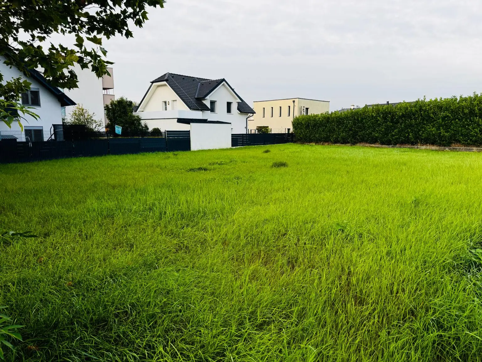 "Sonnige Westlage im Herzen von Biedermannsdorf: 800 m² Eckgrundstück!"