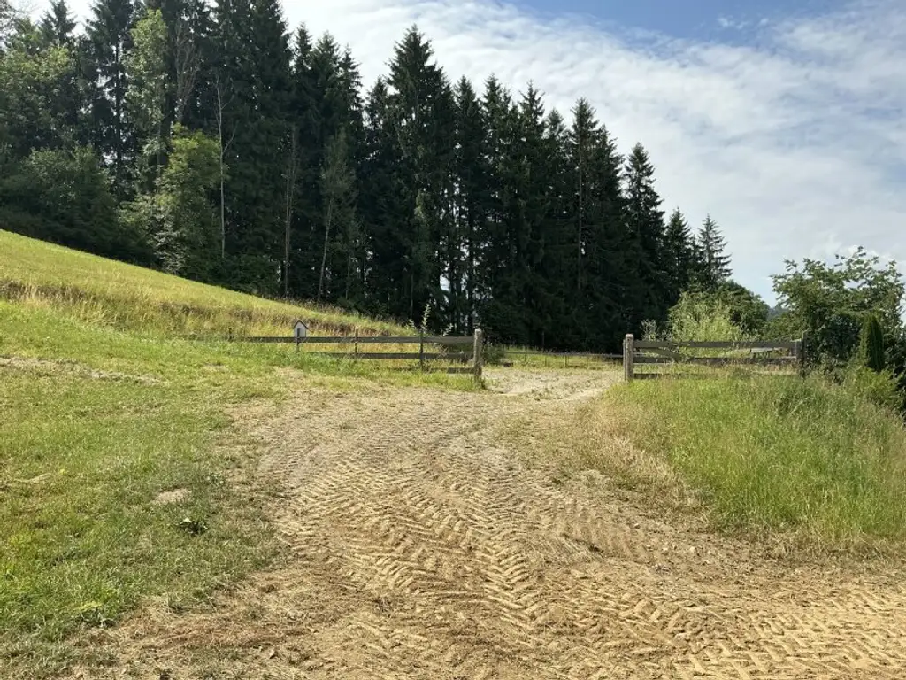 Pferdehof mit Panoramalage in Knittelfeld
