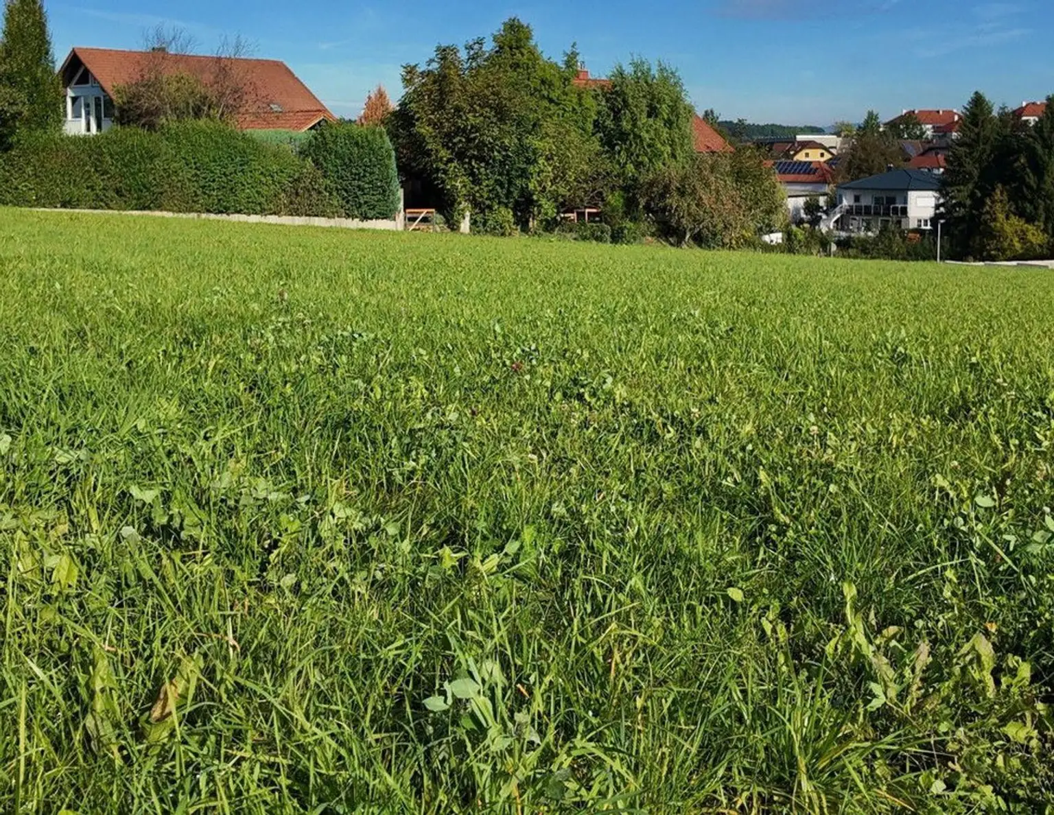 BAUGRUNDSTÜCK in Bischofstetten/ NÖ im Bezirk Melk (Entfernung St. Pölten 15 km)