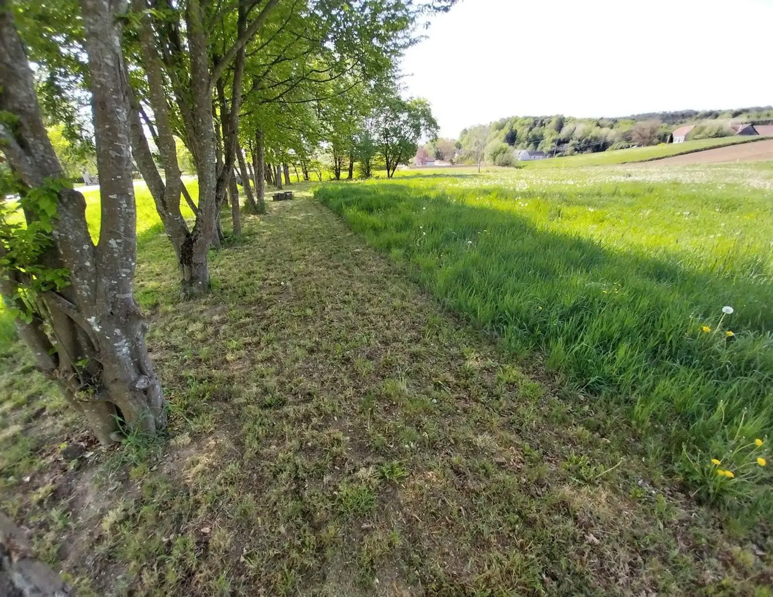 Privat: Sonniges Baugrundstück in Südburgenland