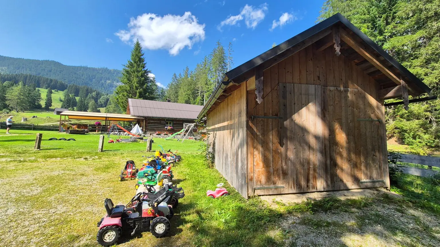 Bad Mitterndorf: Almhütte!! auf Eigengrund mit Nebengebäuden