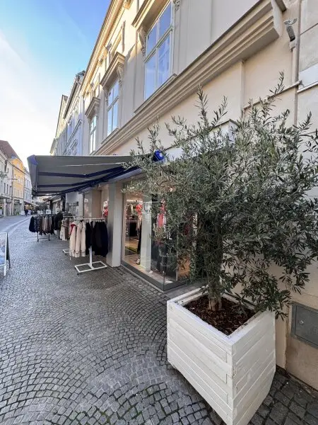 Bezauberndes Krems- vermietetes Stadthaus im Herzen der Kremser Innenstadt