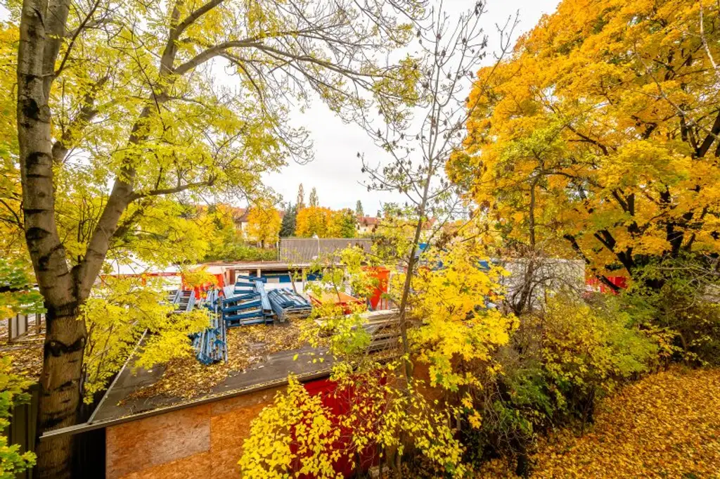 ++Fasangarten++ Altbau mit Potenzial – 2 Zimmer zum Sanieren