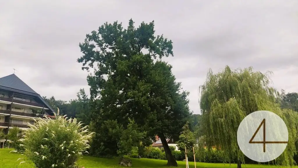 Machen Sie Ihren Alltag zum Urlaub - Wohnung!