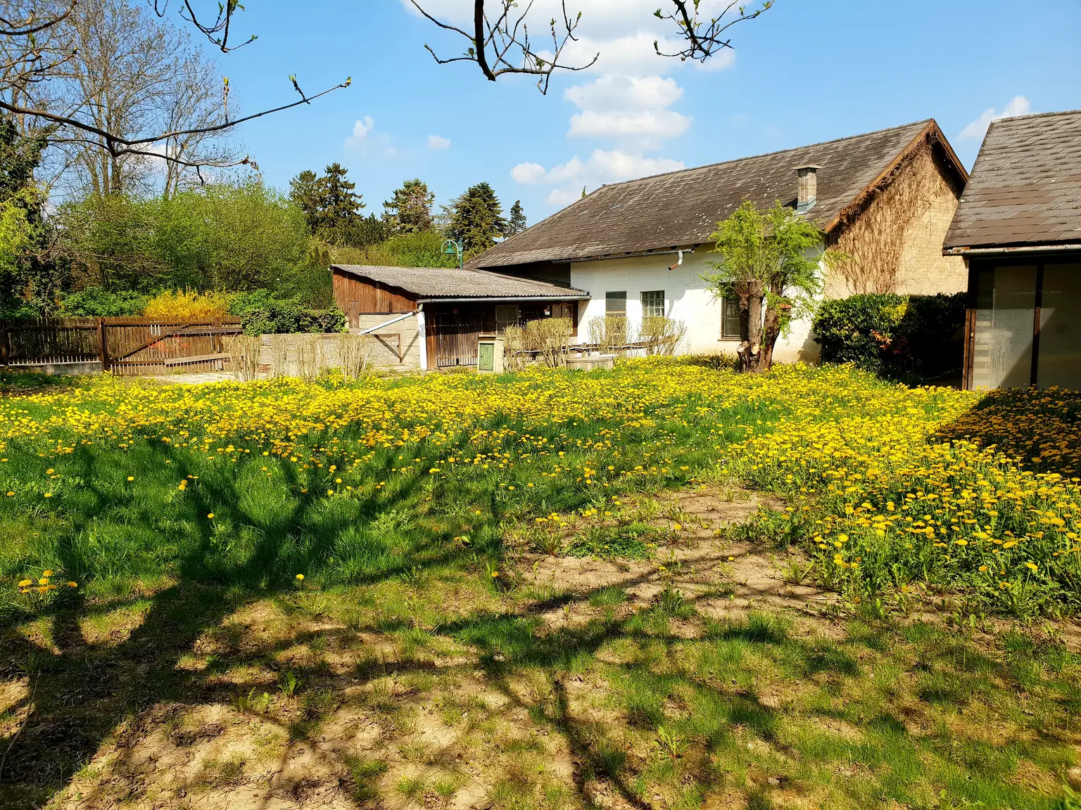 Bauernhaus mit zwei Wohneinheiten + Nebengebäude!