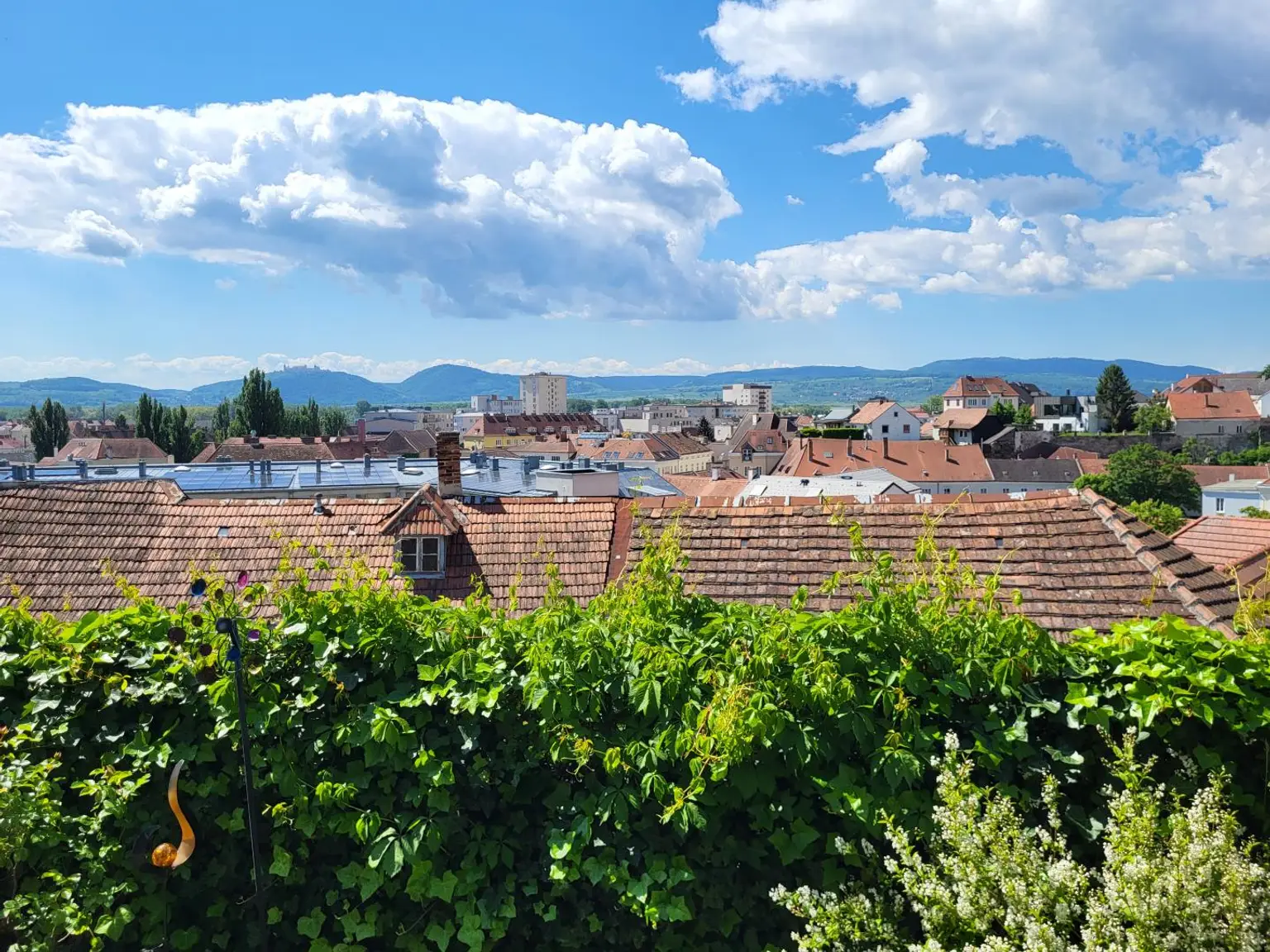Ausblick