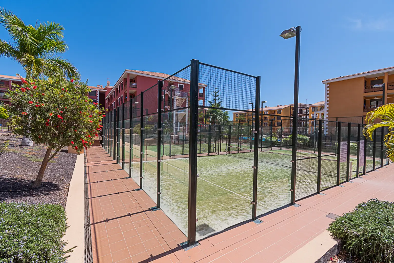 El-Mocan-Paddle-Court-Palm-Mar-Tenerife