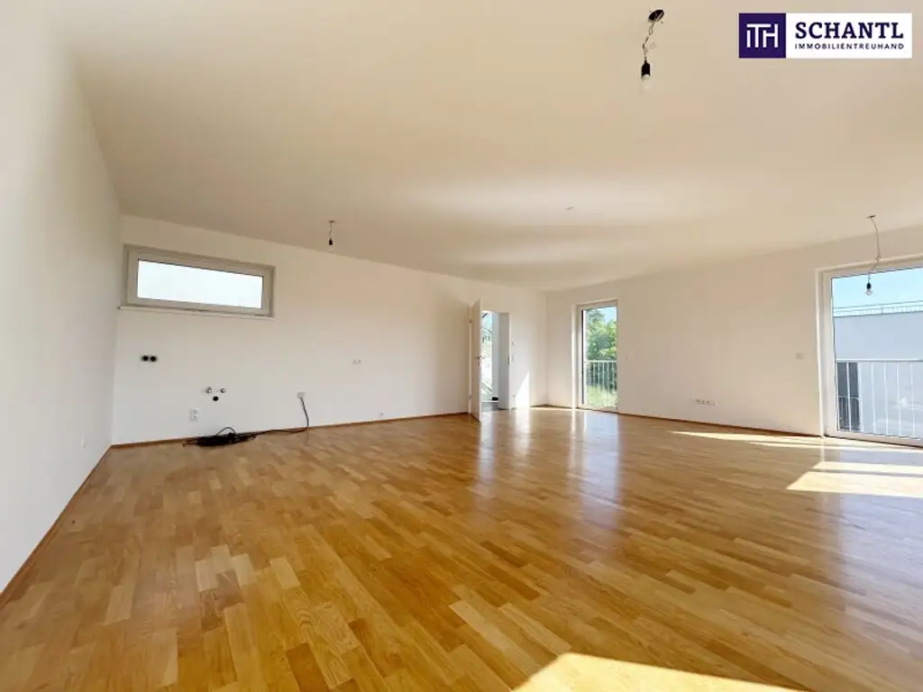 Modernes DOPPELHAUS mitten in den West-Steirischen WEINBERGEN - mit DOPPELGARAGE, GARTEN, TERRASSE & DACHTERRASSE!