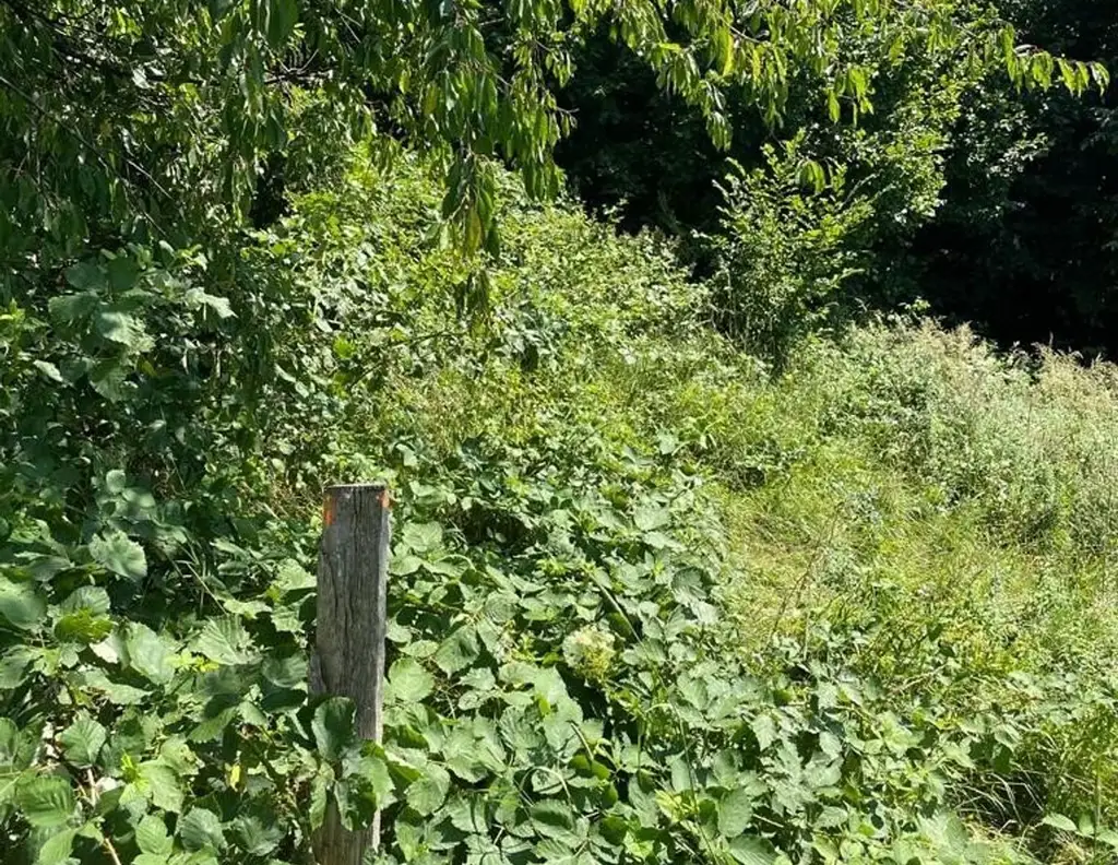 Landwirtschaftliches Grundstück Mitten im Ort-Ybssitz-Niederösterreich