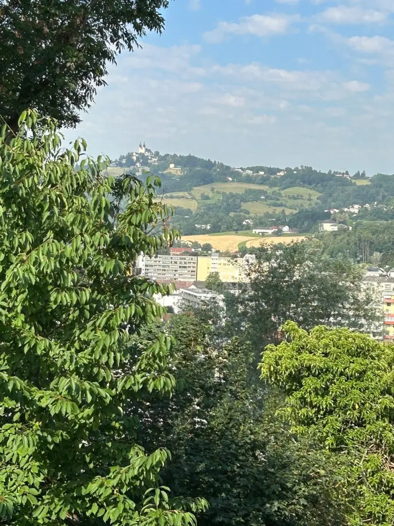 Ausblick