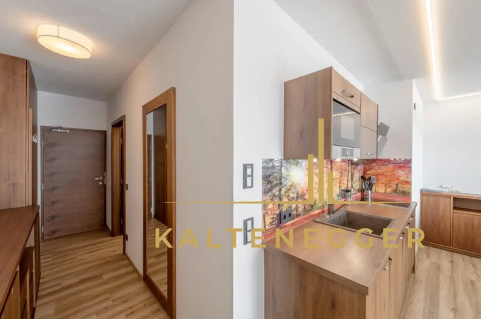 Eingangsbereich und Küche