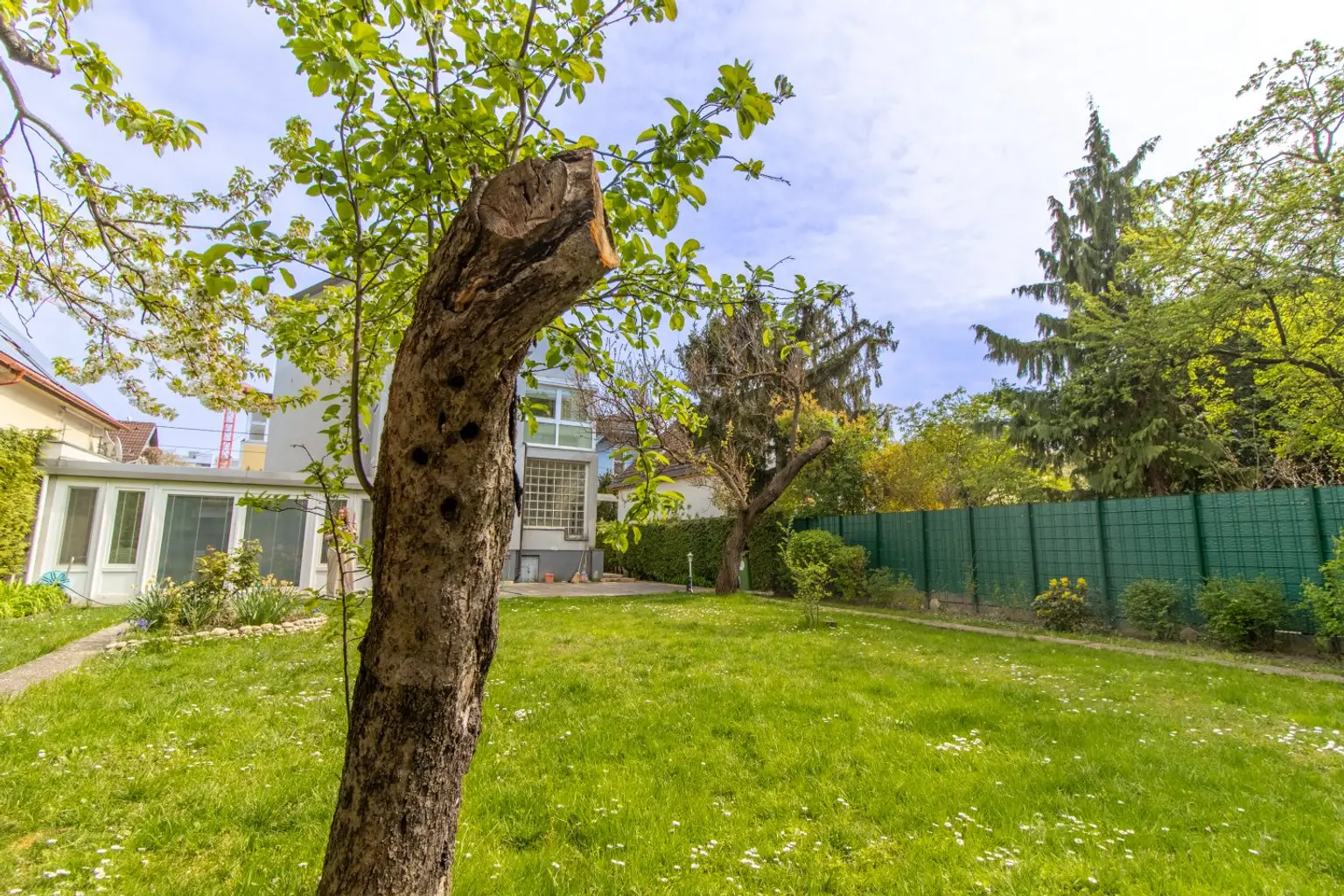 20260416-IMG_6158-HD