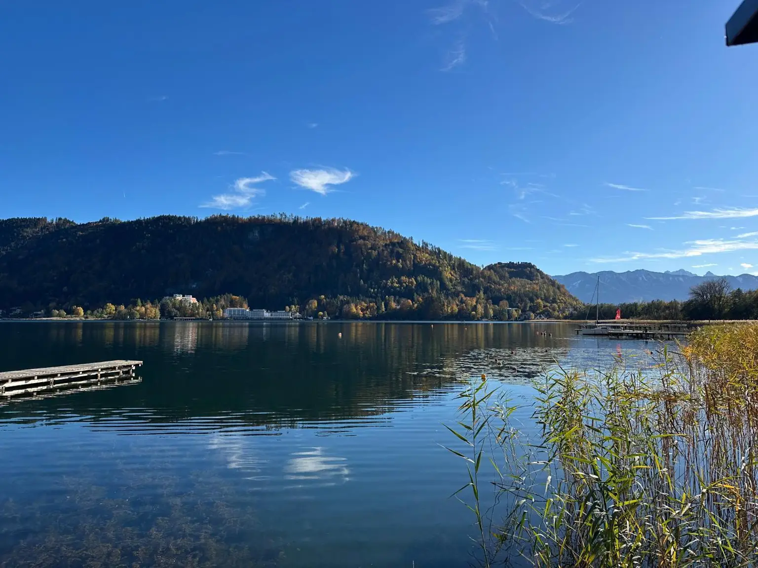 Ausblick am See
