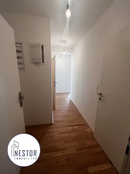 Wohnung - NESTOR Immobilien