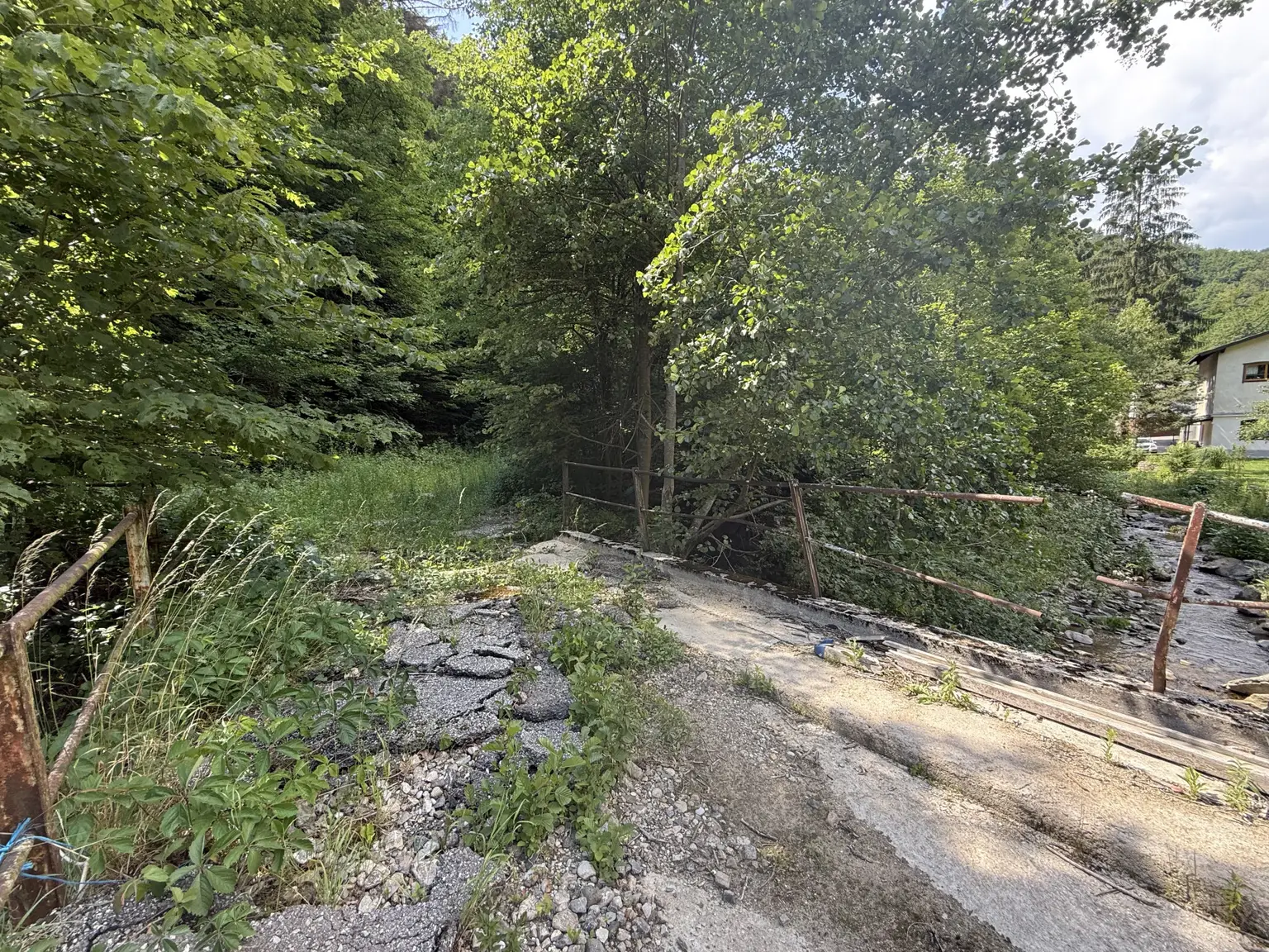 Fischbecken am Norden der Liegenschaft