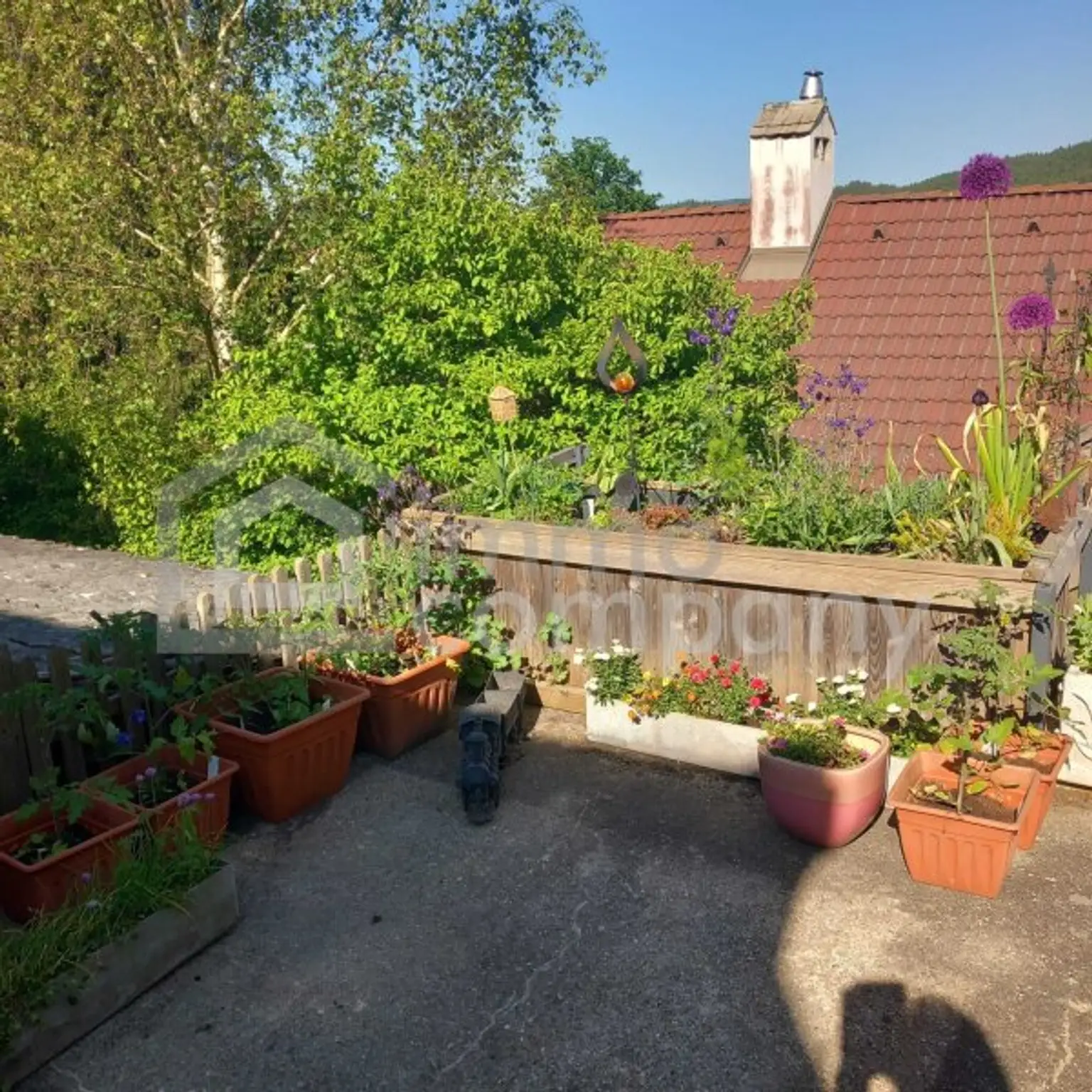 Zwischen Burgblick und Waldesruh – ein Zuhause mit Geschichte