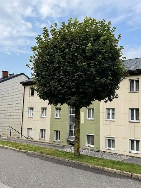 Wiener Neustädter Straße