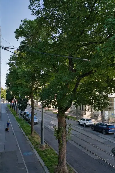 Helle, gepflegte Wohnung mit flexiblem Grundriss - Potenzial für bis zu 3 Schlafzimmer - Nähe U4/U6, sowie Bahnhof Meidling!