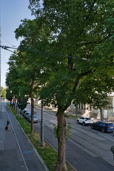 Helle, gepflegte Wohnung mit flexiblem Grundriss - Potenzial für bis zu 3 Schlafzimmer - Nähe U4/U6, sowie Bahnhof Meidling!