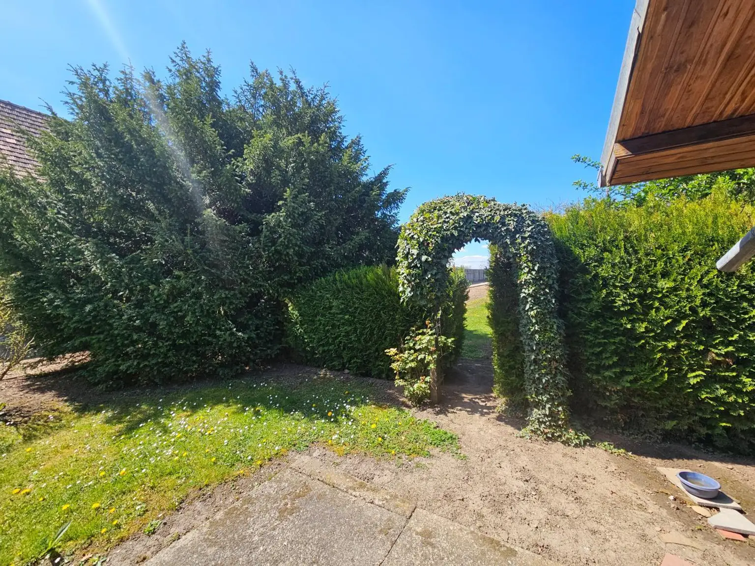 Garten (1)