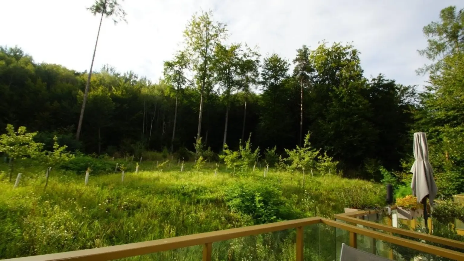 "Waldblick - Single-Balkonwohnung am Riederberg mit Parkplatz"