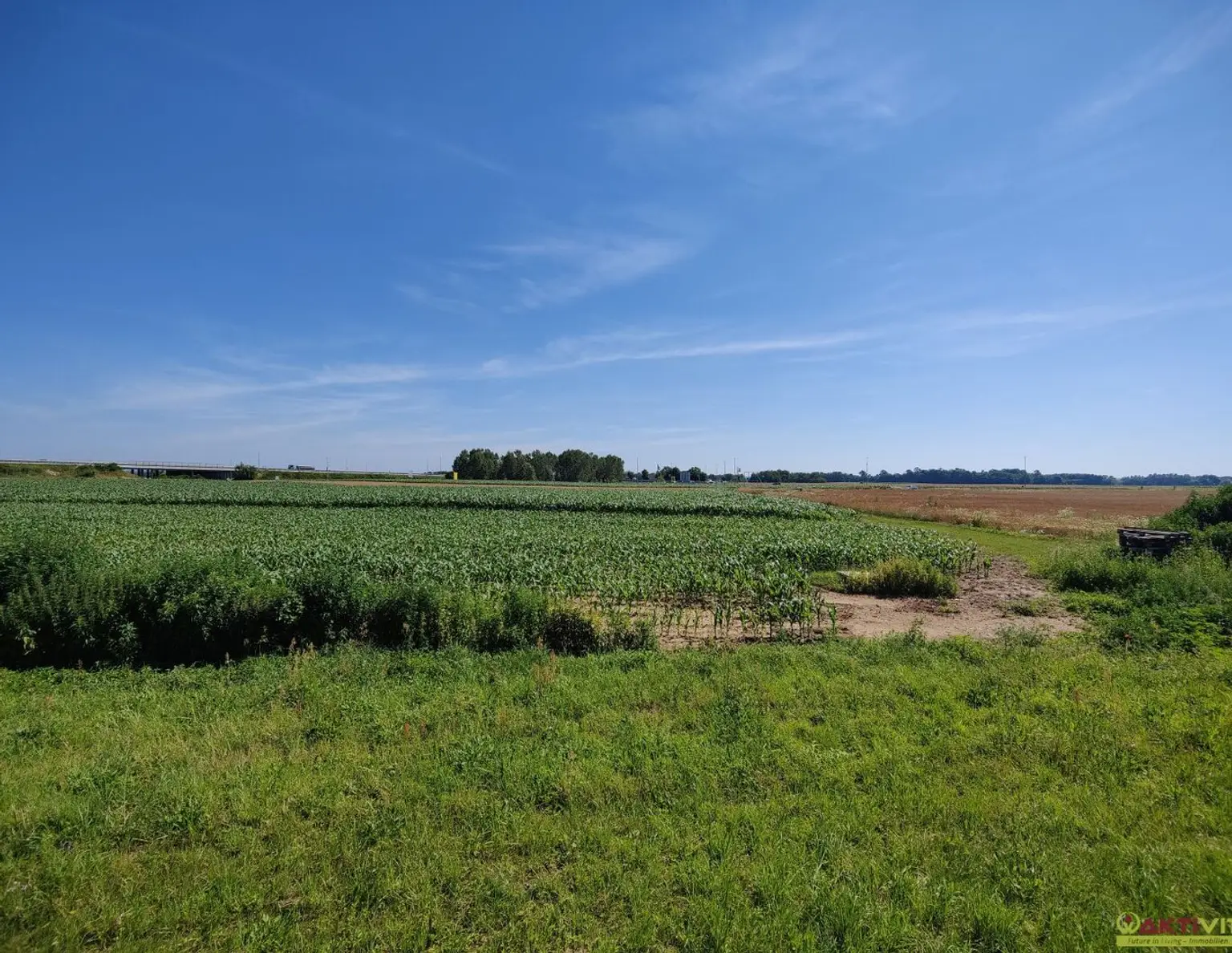 Gewerbe-Grundstück direkt beim Autobahn-Anschluss. - Flexible Größen  bis 60.400 m² - Großes Potential.