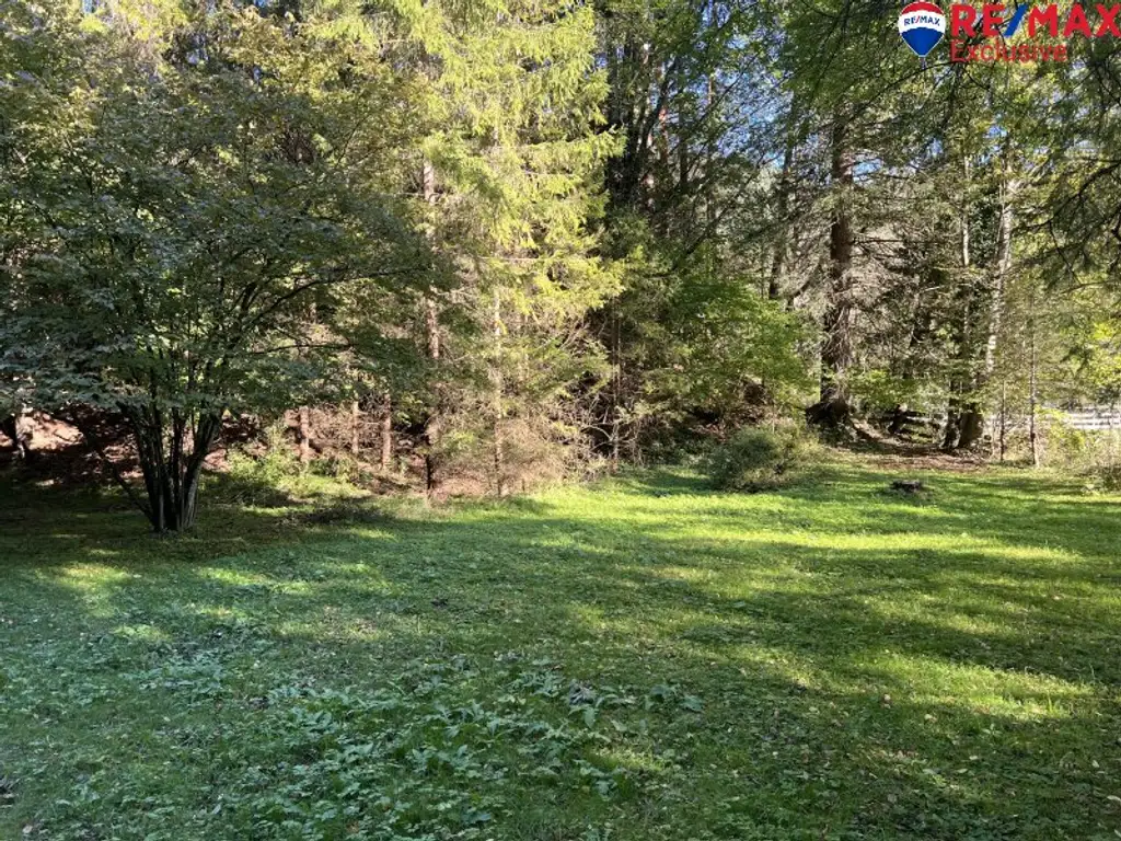 Idyllisches Landhaus in Gutenstein: 4 Zimmer, Garten, 349.000 €! Ihr neues Zuhause wartet!