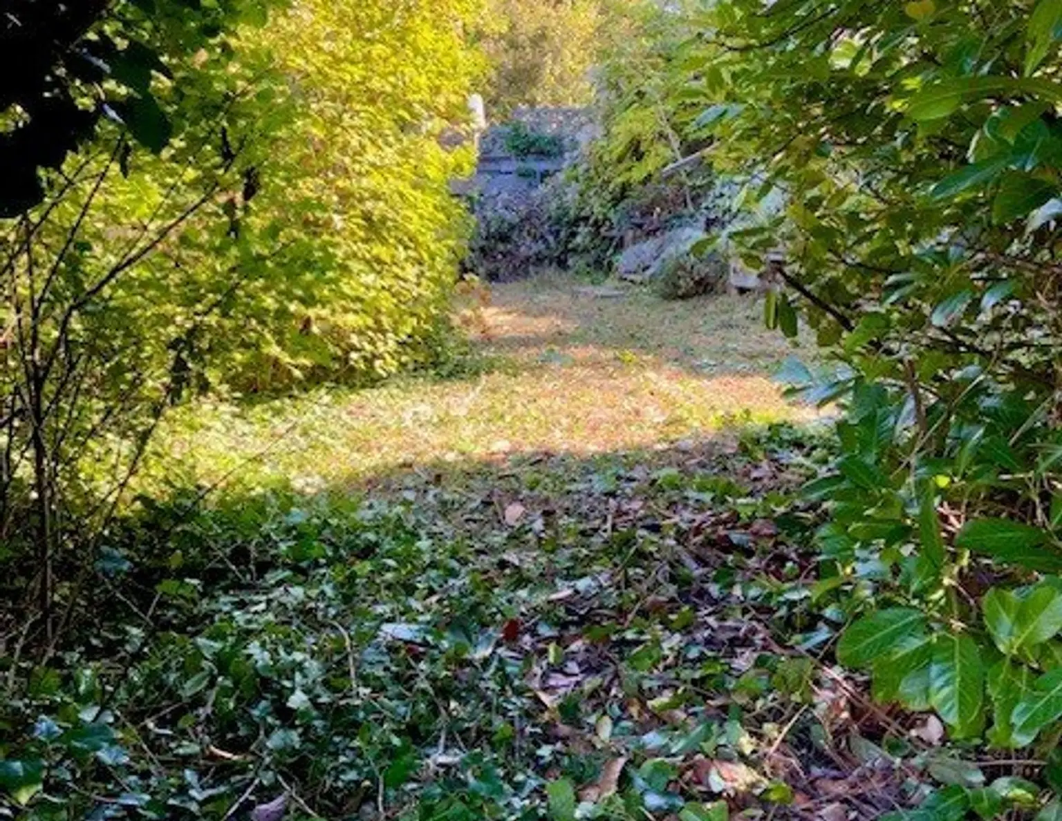 Ihr Sonnengrundstück im begehrten Sachsenviertel