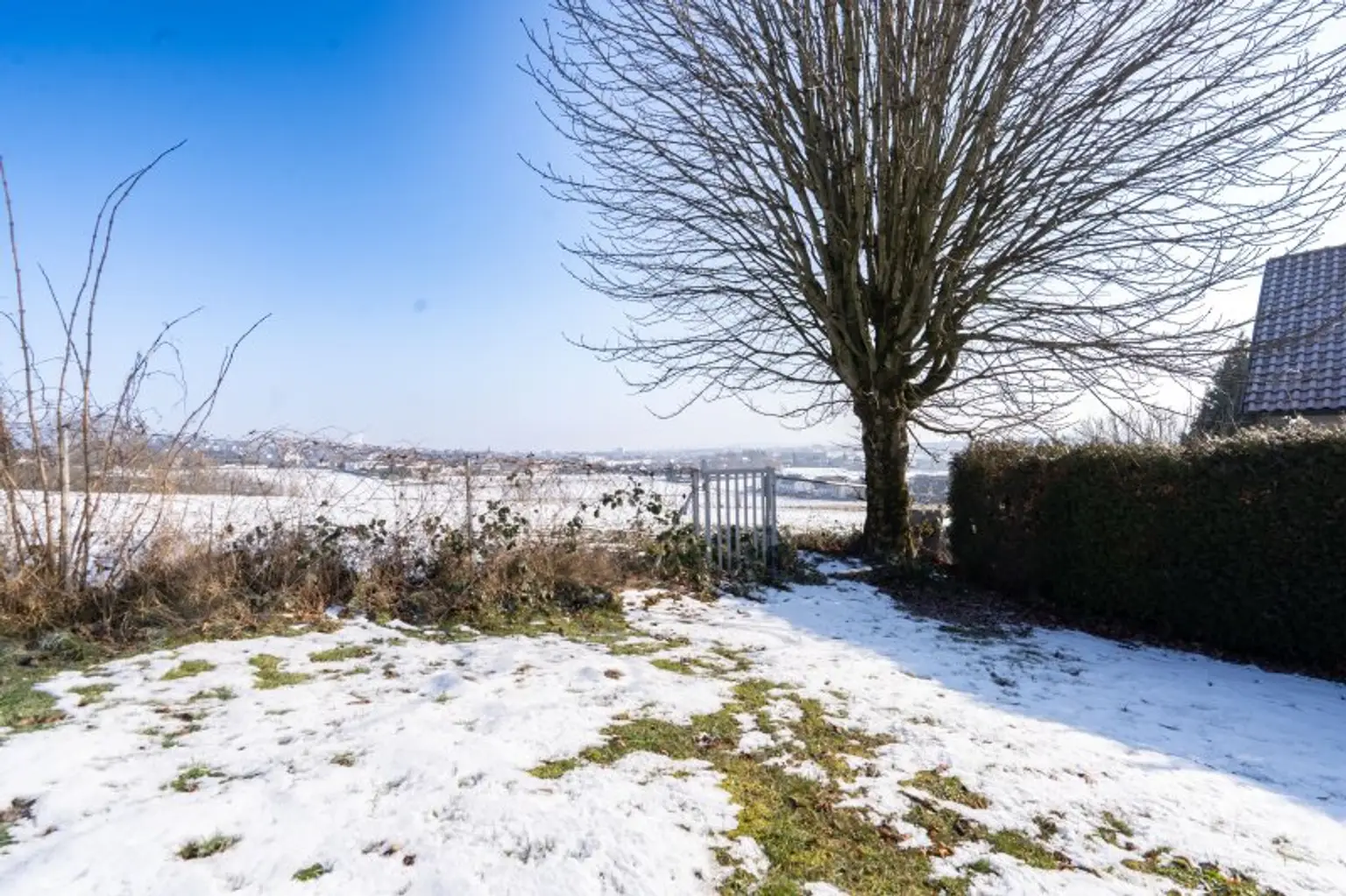 Toplage von Leonding: 7-Zimmer-Einfamilienhaus mit Pool & traumhaftem Ausblick zu kaufen