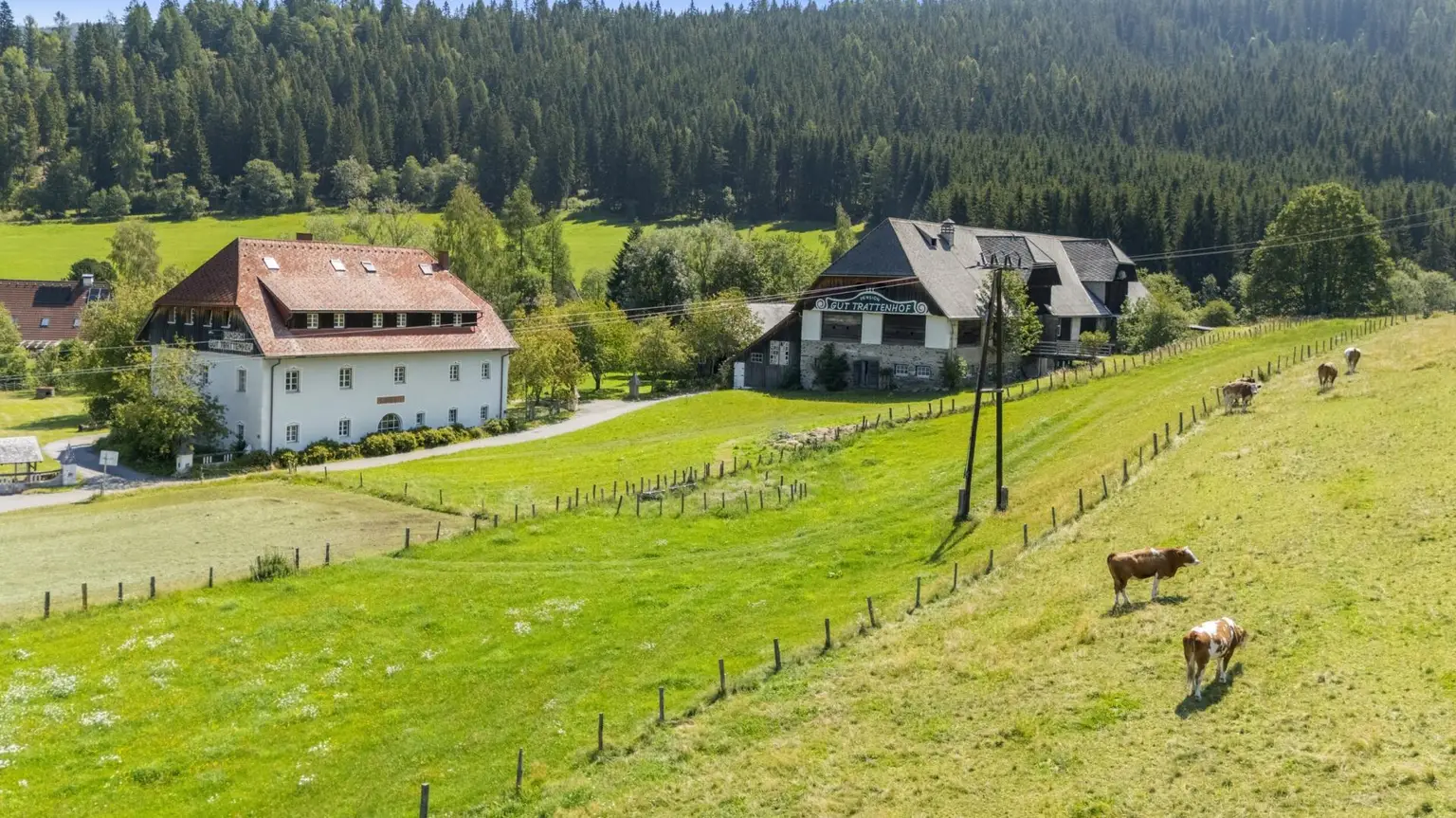Idylle in der Natur