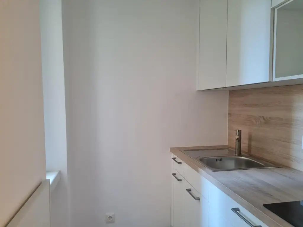 "Charmante 1-Zimmer Wohnung beim Matznerpark "