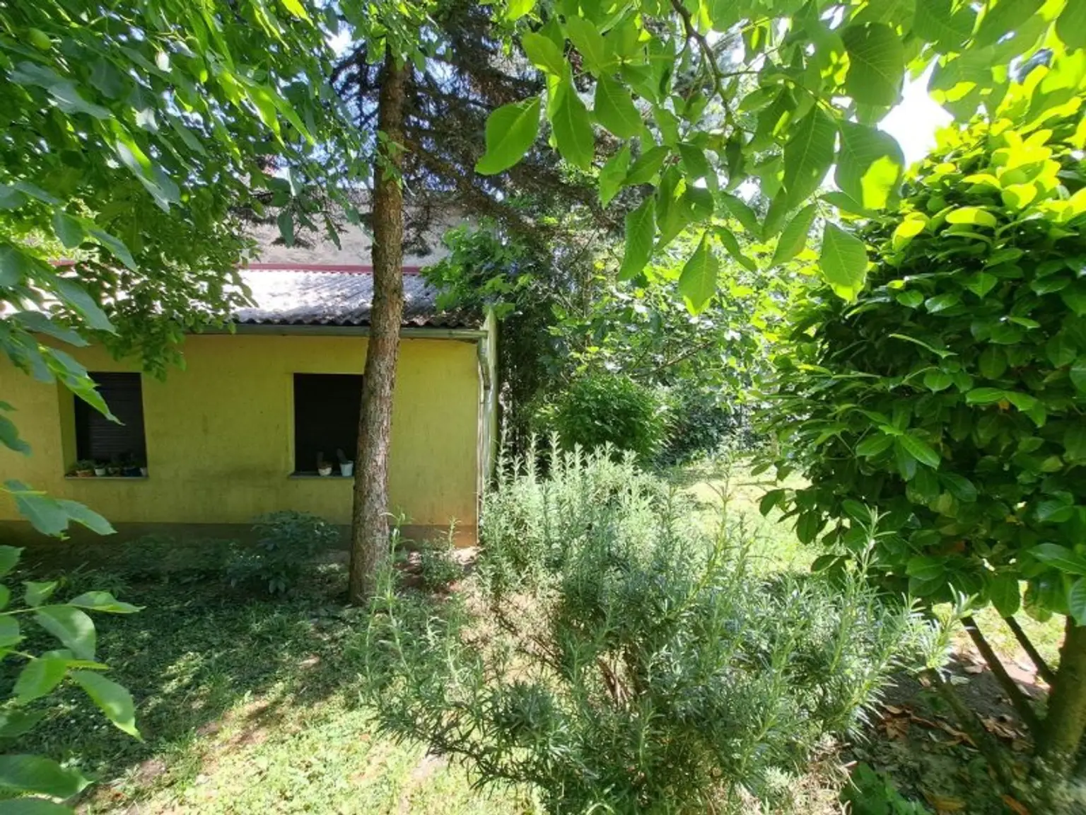 15. Getrenntes Gästehaus