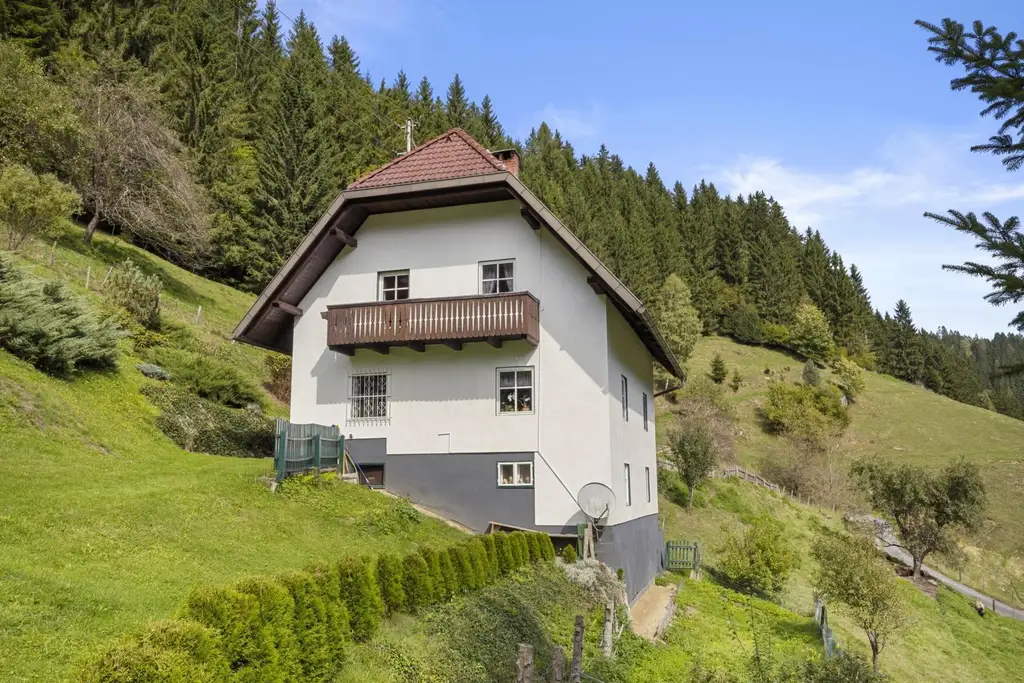Kleinlandwirtschaft mit Wohnhaus und Wirtschaftsgebäude in Unterpreitenegg im Oberen Lavanttal
