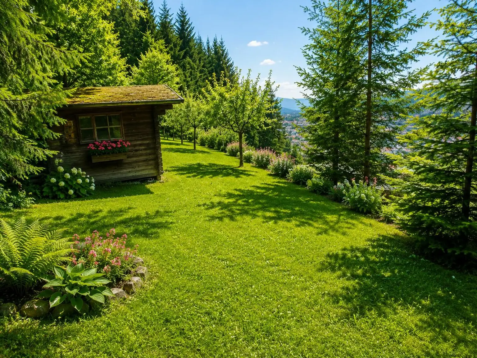 Sommeridyll mit Wald und Wiese