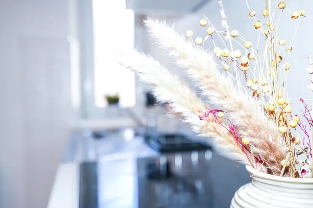 AB 01.02.2026 VERFÜGBAR I JAKOMINIPLATZ IM HERZEN VON GRAZ I LICHTDURCHFLUTET I HAUSTIERE WILLKOMMEN I SPITZENLAGE I PROJEKT WOHNEN