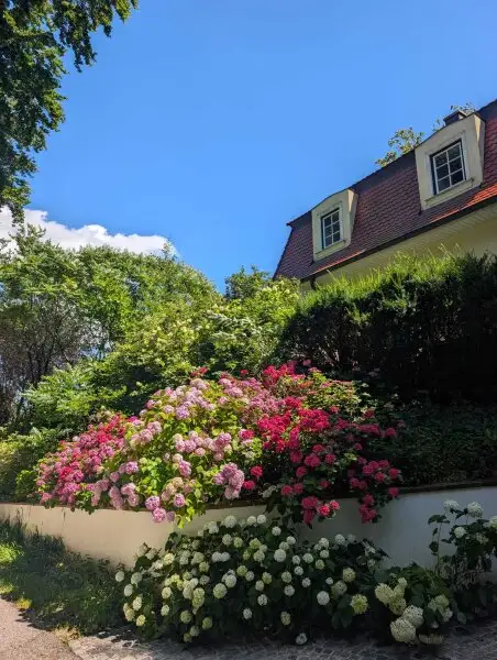 Wunderschöne Villa mit Pool und weitläufigem Grundstück, Nähe Pressbaum