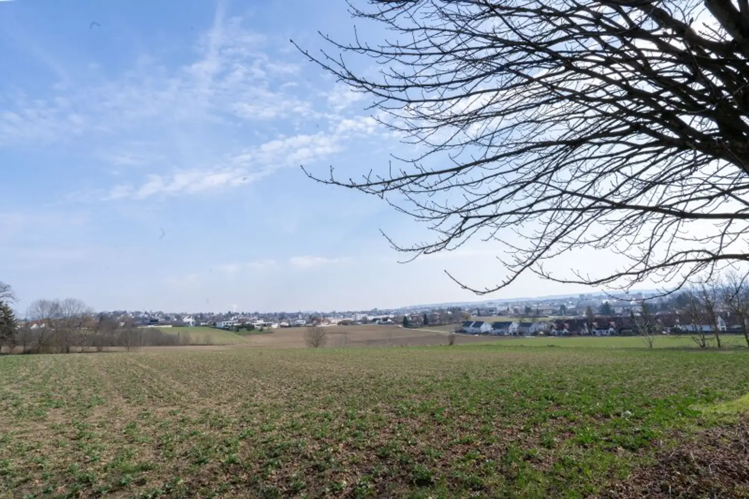 Toplage von Leonding: 7-Zimmer-Einfamilienhaus mit Pool & traumhaftem Ausblick zu kaufen