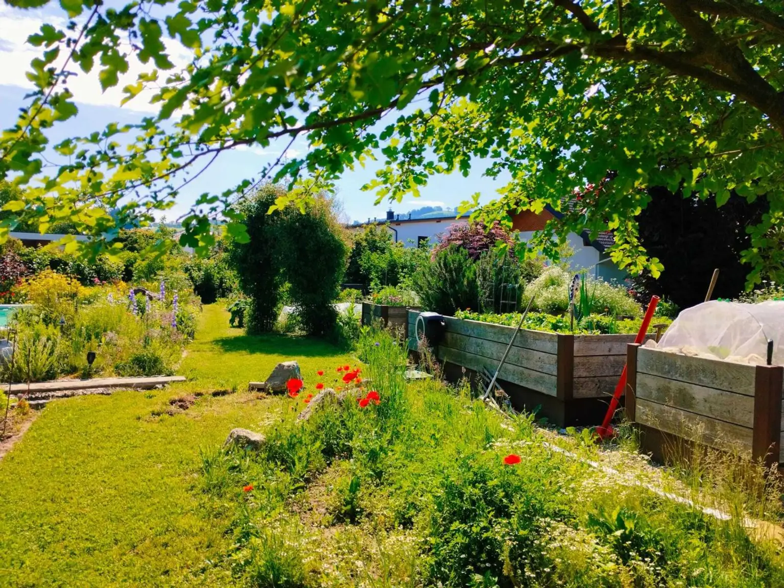Garten mit Hochbeete