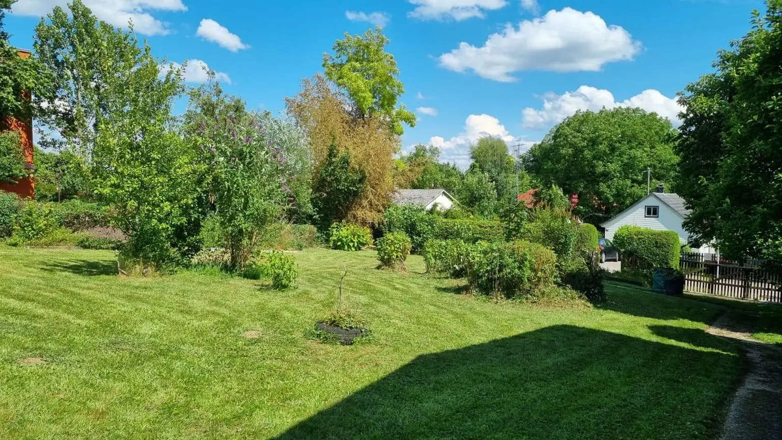 PHOTO-2026-01-29-09-04-03 (1)