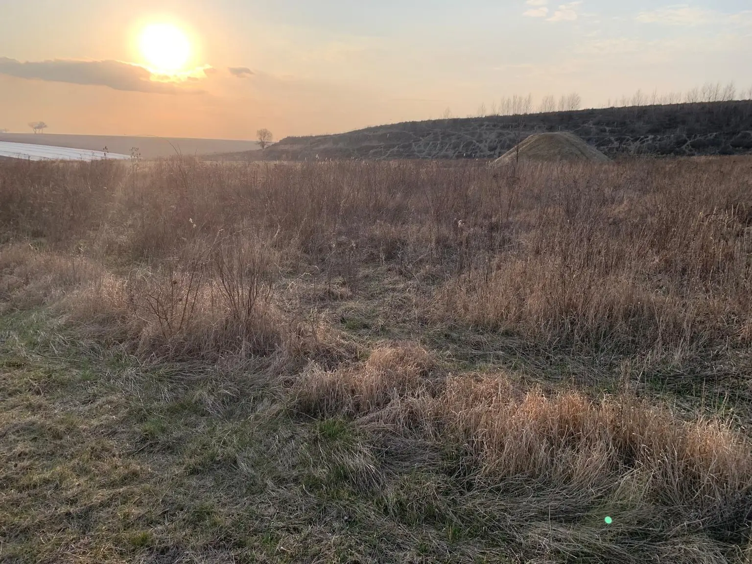 INDUSTRIEGRUNDSTÜCK - 40 Minuten vor Wien