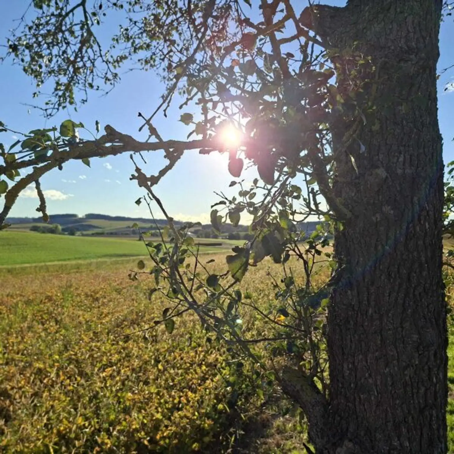 Anlageobjekt  - Eigener Anteil an einem sanierten, historischem Bauernhof -Garantierter MIeter